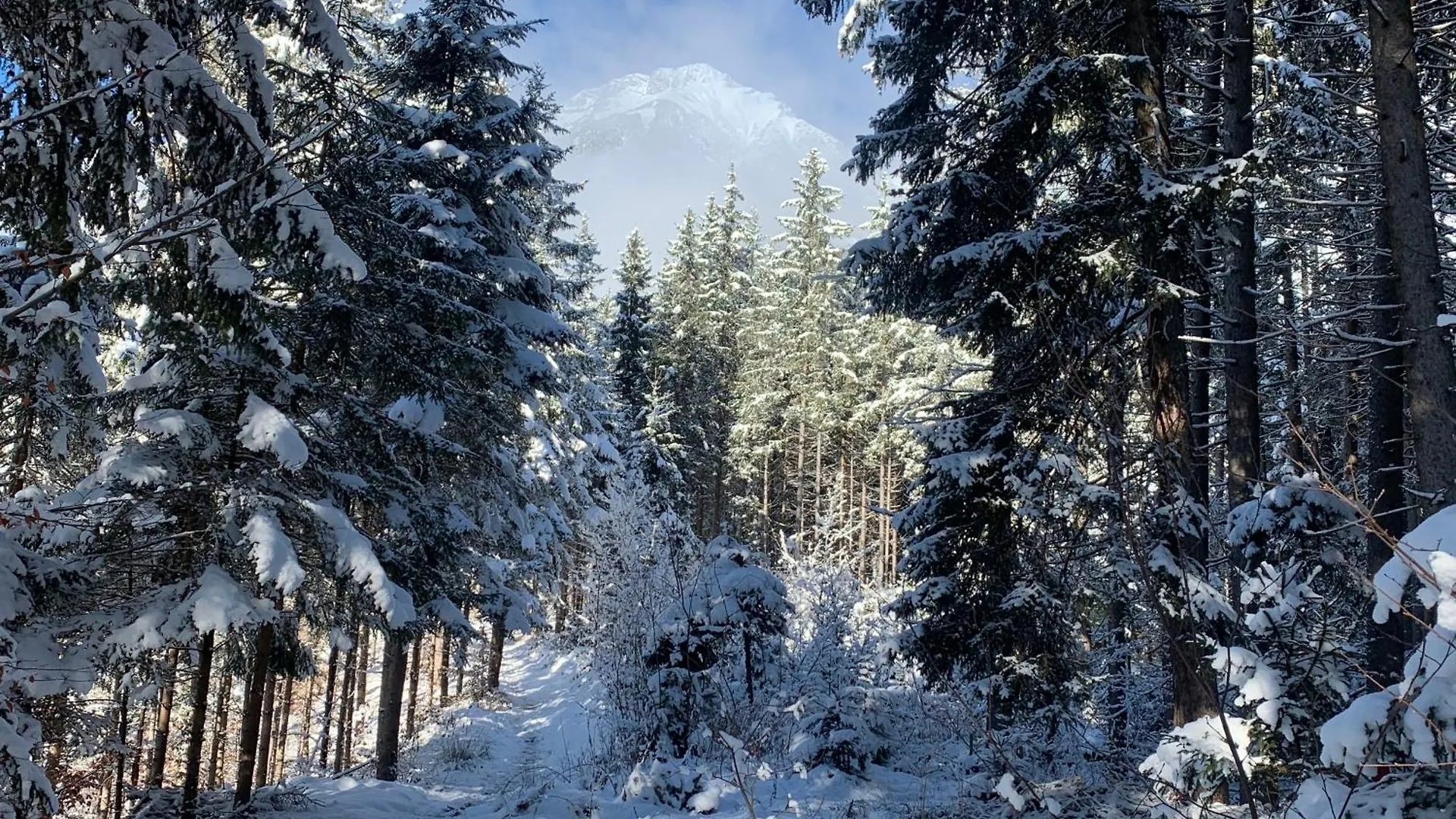 Waldblick - Neubau - Self-Check-In - Kein Verkehr - Am Wald - Parkplaetze Vor Tuer - Apartment Or Double Room Innsbruck 0*,