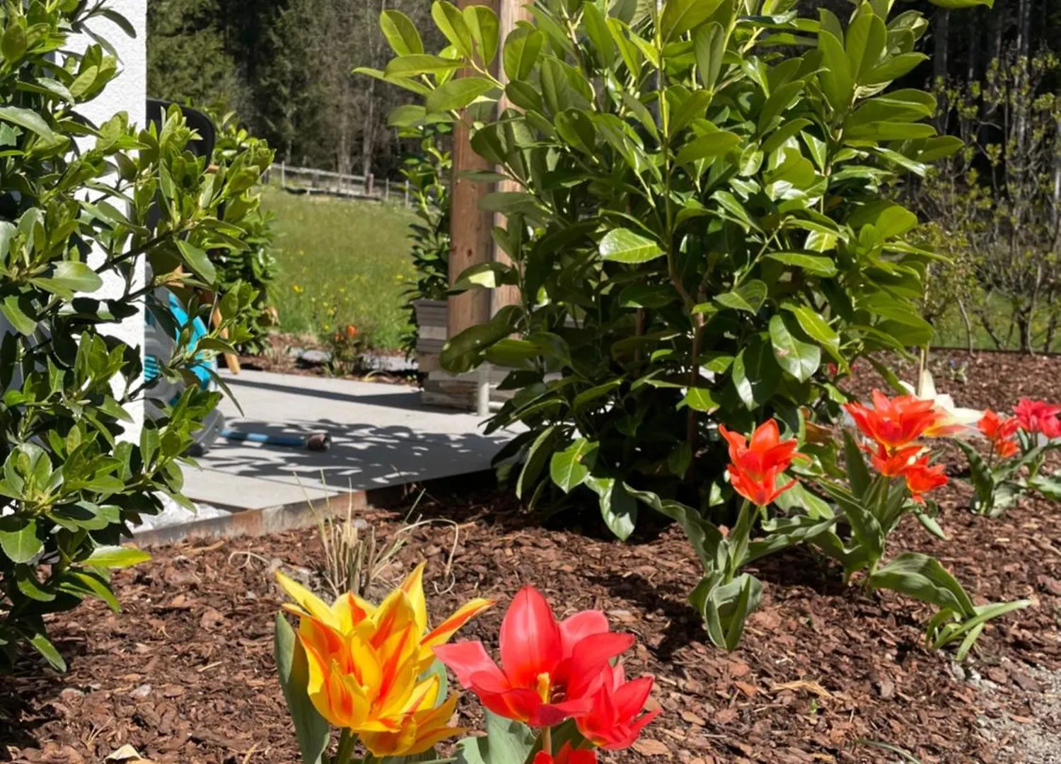 Waldblick - Neubau - Self-Check-In - Kein Verkehr - Am Wald - Parkplaetze Vor Tuer - Apartment Or Double Room Innsbruck